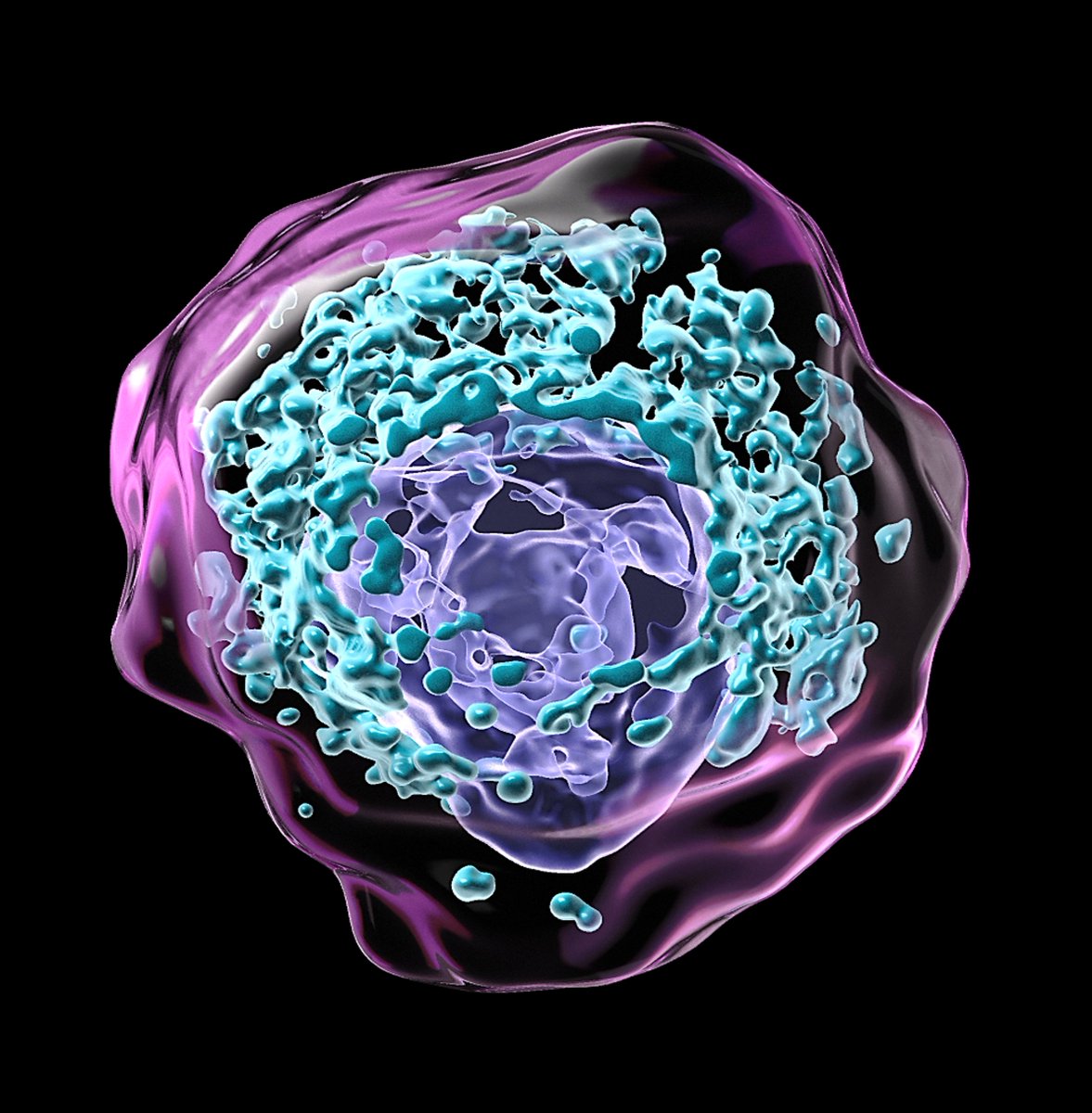 OK, @BinghamtonU folks: Now it's the last minute! Enter our Art of Science contest by 2/23 &amp; you could win an iPad! Details here: forms.gle/BrMso6R3Ac163D… #sciart #SUNYresearch