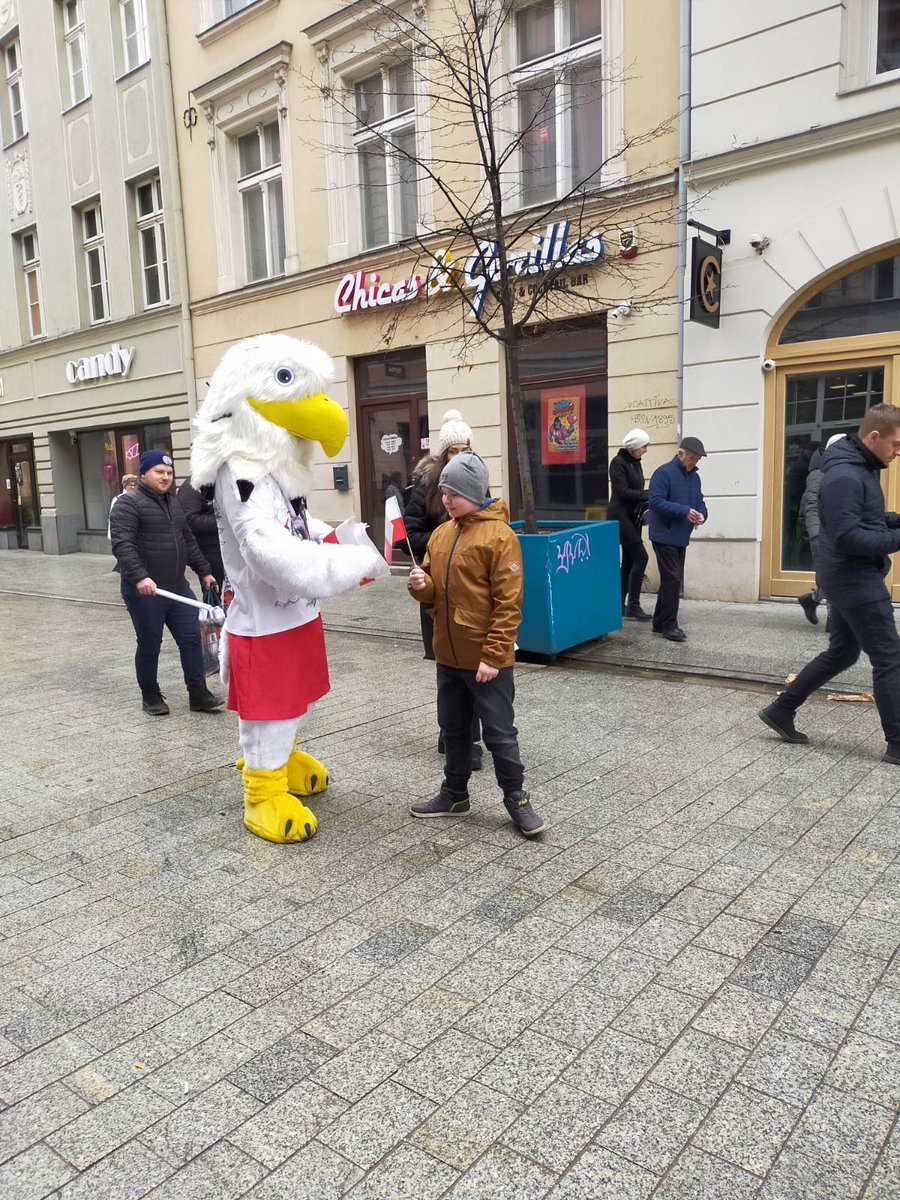 dawid_trzeciak's tweet photo. Tak wyglądało dzisiejsze rozdawanie plakatów w Poznaniu w ramach corocznej akcji #KochamPolskę 🇵🇱

Tematem przewodnim tegorocznej kampanii jest szacunek do barw narodowych oraz ich prymat nad symbolami innych państw czy organizacji. https://t.co/ztToCuU9Kd