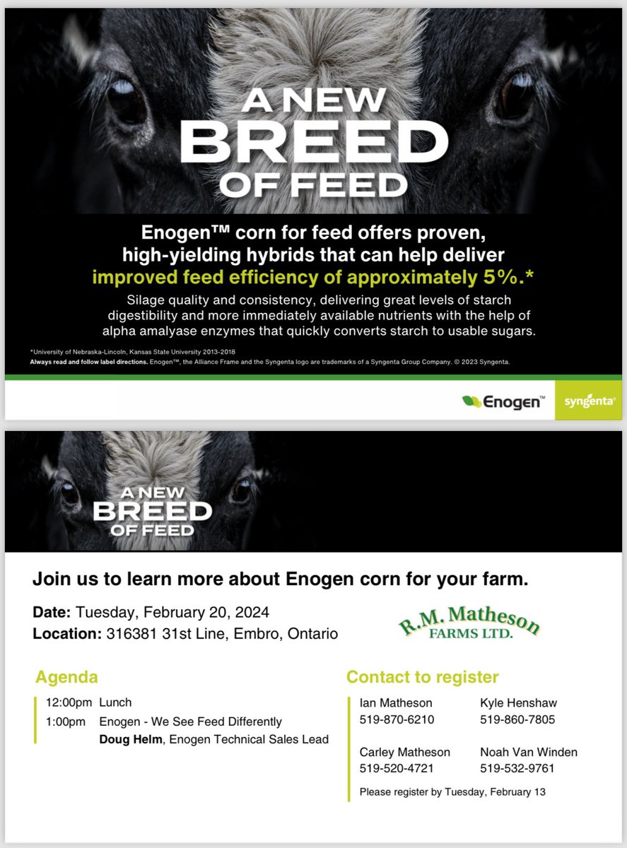 Ian Matheson tweet media