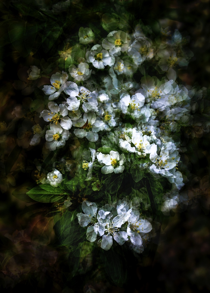 Exposure tweet media