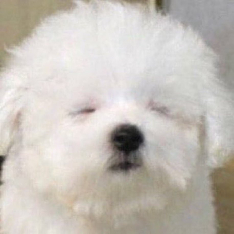 @: 이건진짜정한이다 
이건진짜나나투어1화정한이잖아
누가공계투척좀해줘이거나나투어정한아잖아!!!!!!!!!!

네 제가 사진도 찾아왓습니다