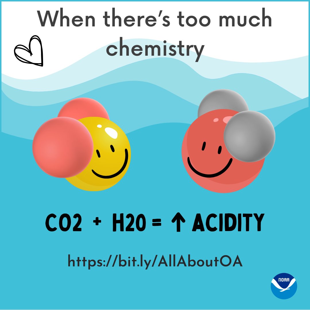 Can there be too much chemistry on #ValentinesDay? Learn about changing ocean chemistry and how we can address #OceanAcidification. bit.ly/AllAboutOA