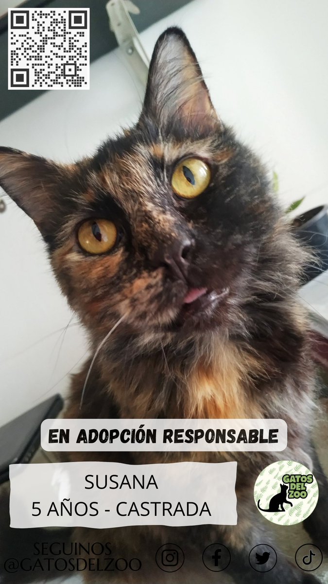 Susana hace más de un año y medio que busca hogar.

¿Te animas a cambiarle la vida?
#adoptaunadulto
<a href="/yo_nva/">YoVendoNvaCba</a> <a href="/protegealanimal/">PROTECCION ANIMAL - ARGENTINA</a>