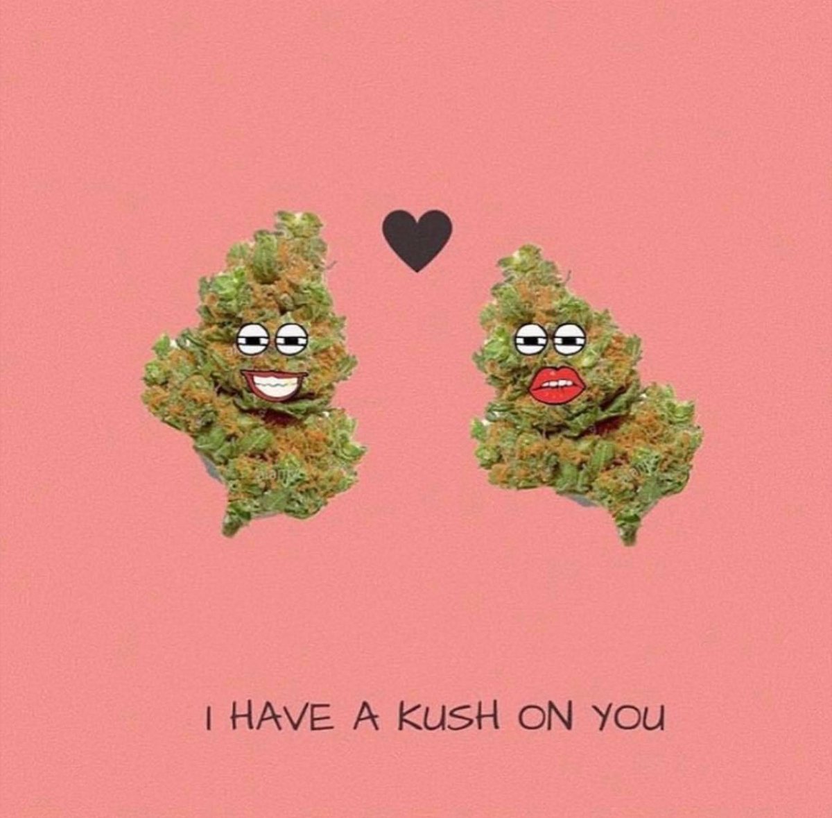 #ValentinesDay #HappyValentinesDay #Valentine #Valentines #MamaGrass420 
#FemaleFarmers #WomenThatGrow #SheGrows  #Cannabis #Hemp #Indica #Sativa #Hybrid #Mota #Ganja #CBD #Pot #MaryJane #Farmer #cannabiscommunity #CannabisCulture #CannabisHealsMedicineKills #Mmemberville