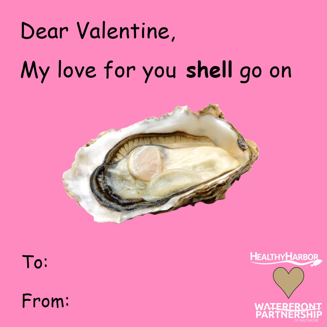 My love for you shell go on! #Baltimore ❤️🦪