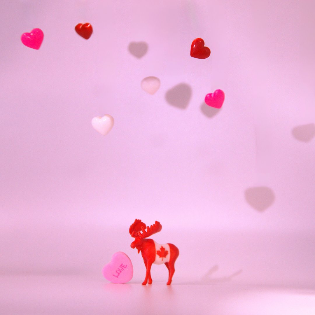 This one’s for all of the Valentines, Galentines, and Palentines celebrating love and friendship 💘🌹🥰 What are your Valentine’s Day plans? #ValentinesDay