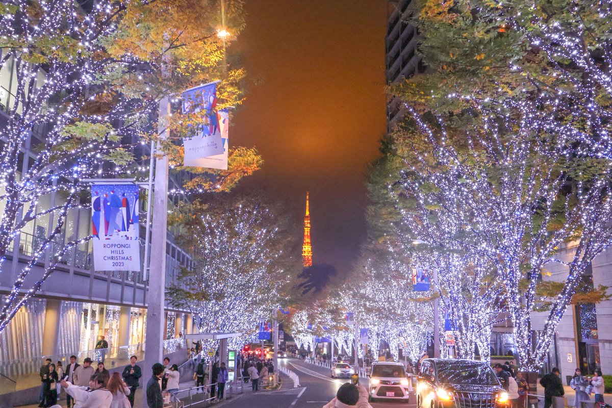 けやき坂のイルミネーション✨

#六本木けやき坂通り