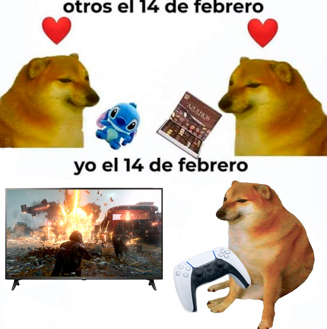 Fotógrafo Nómada tweet media