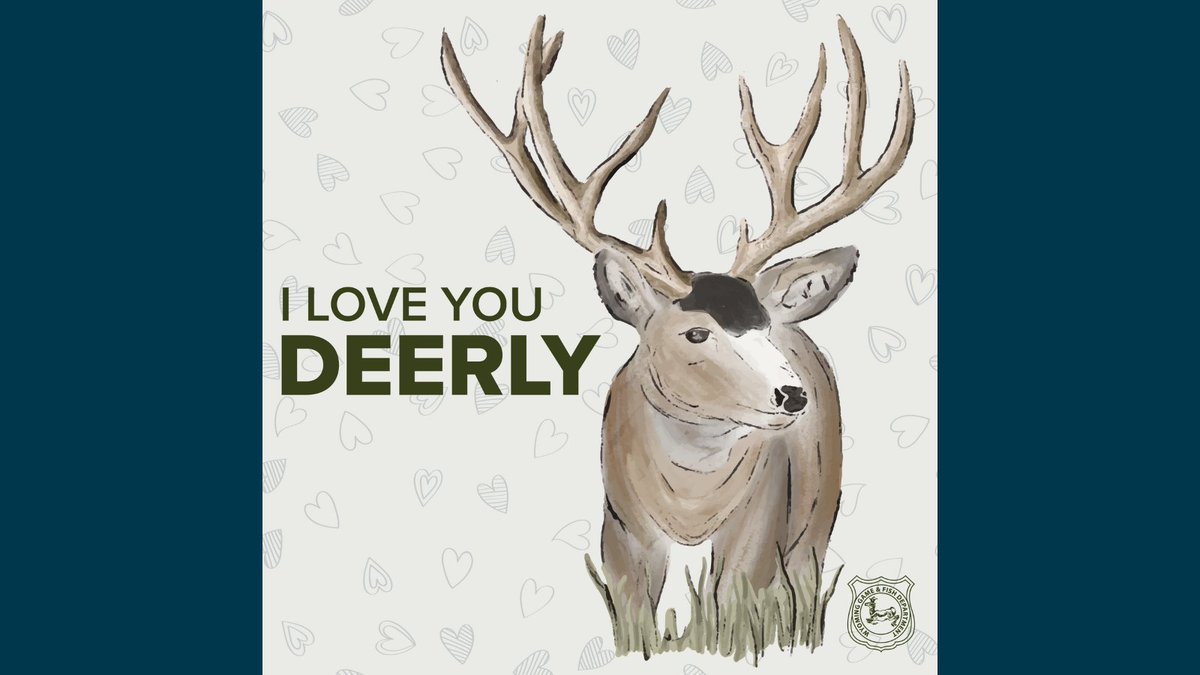 Are you feeling a little doe-eyed today? Send this to someone you love!