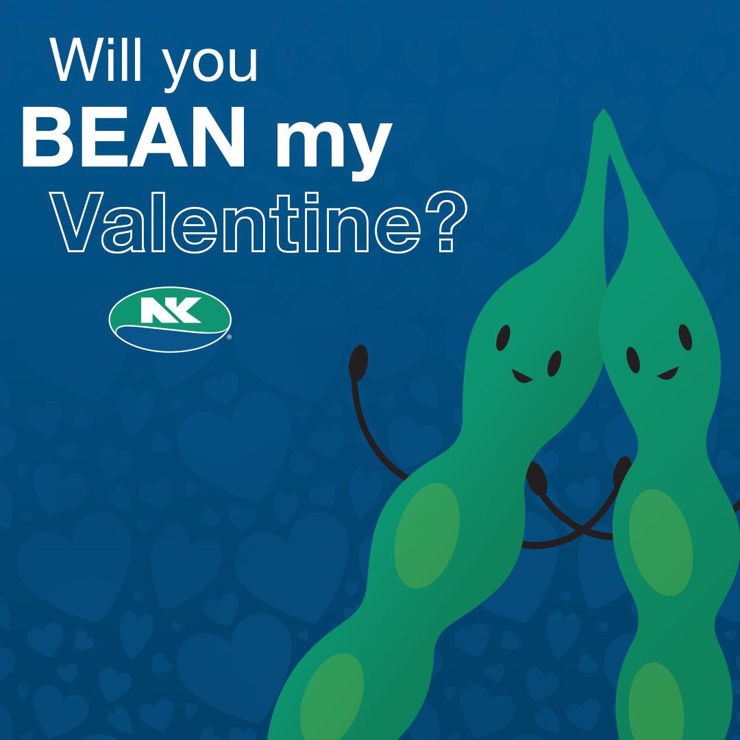 NK® Seeds Canada tweet media