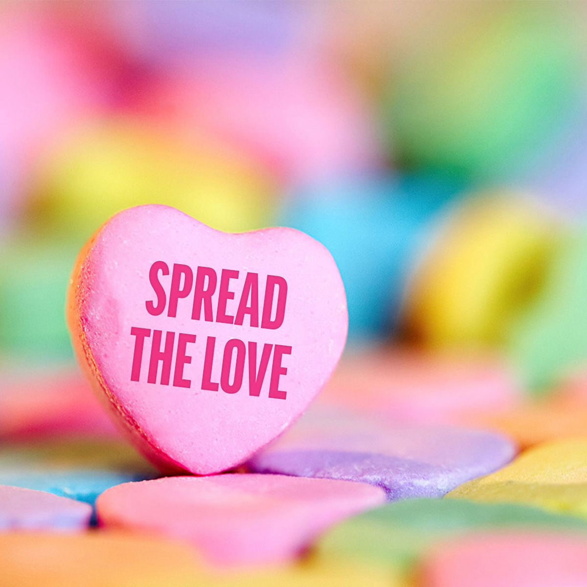 GlennDerle's tweet photo. Love is in the air! We love helping borrowers like you every day. Spread the love and refer me to a friend or family member looking for a home. https://t.co/jlK8vQsGZL