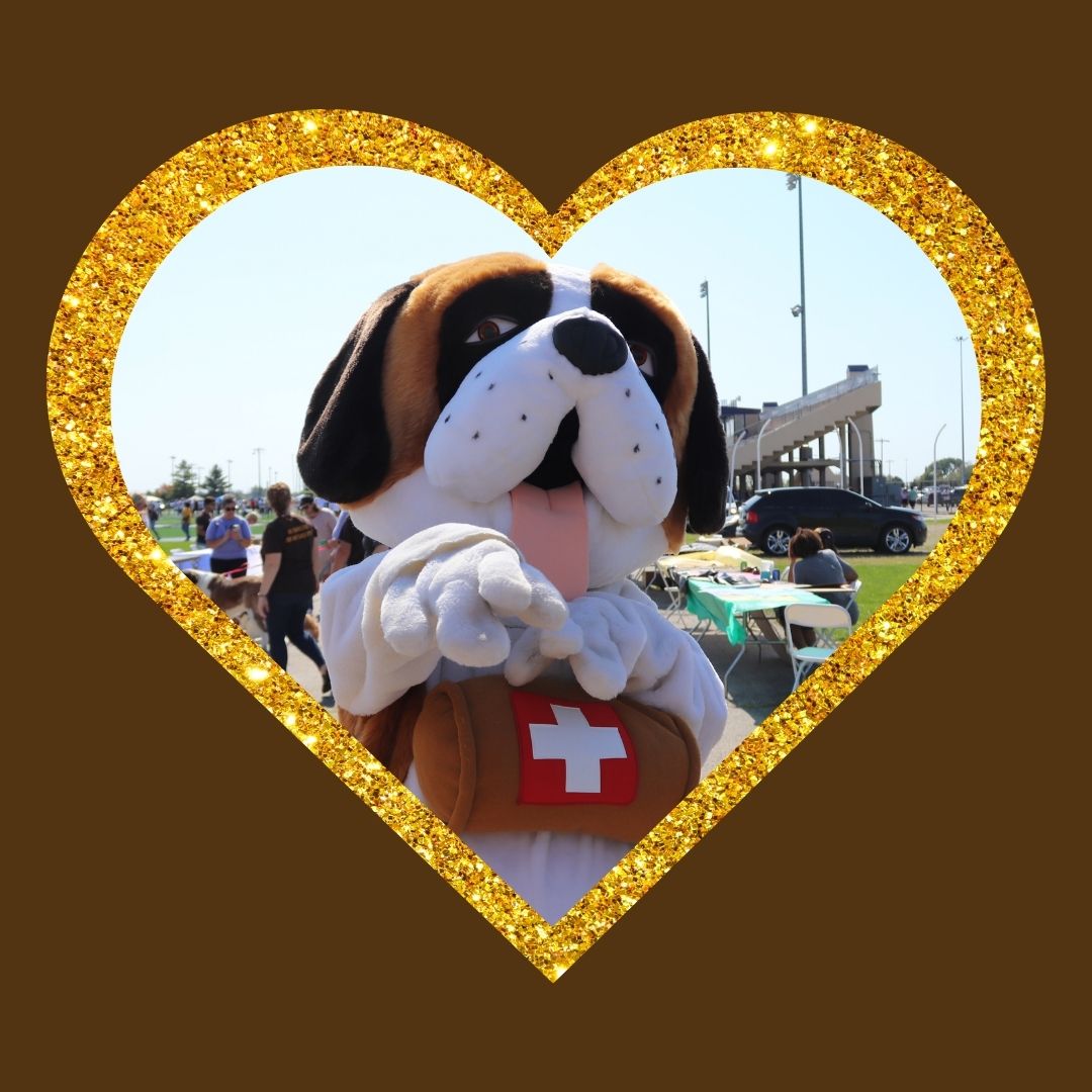 alumniUSF's tweet photo. 💛🤎 Will you be Bernie's Valentine? 🤎💛

To our USF community, family, friends, alumni, and donors... WE HEART YOU! Happy Valentine's Day! https://t.co/Y4k4YdB1PW