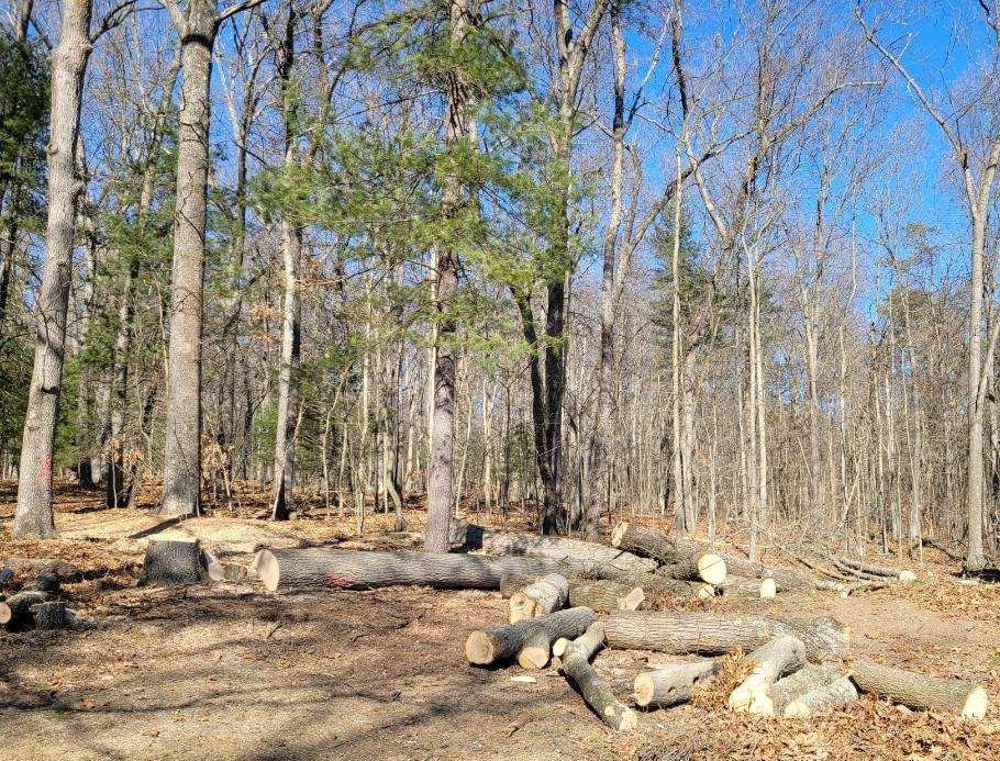 The PSU Forestland Mgmt. Office recently partnered with the Grounds Maintenance tree surgeons to eliminate a number of hazardous trees in the Stone Valley Forest. Unfortunately, the small quantity of trees will be processed into a renewable winter heat source for a nearby home.