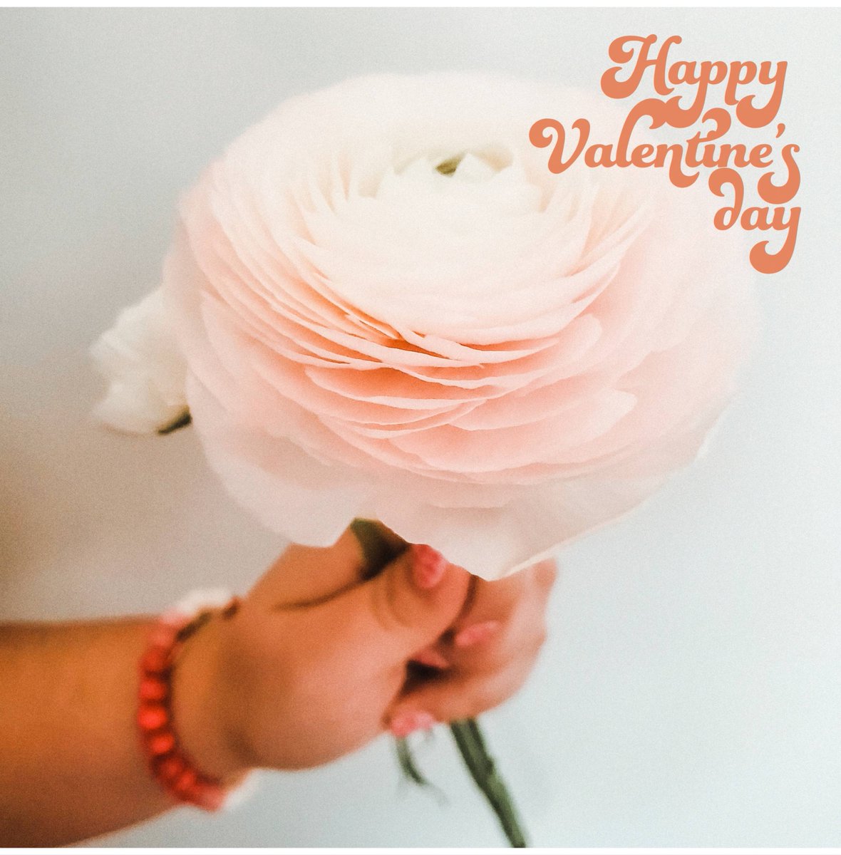 Female Empowerment tweet media