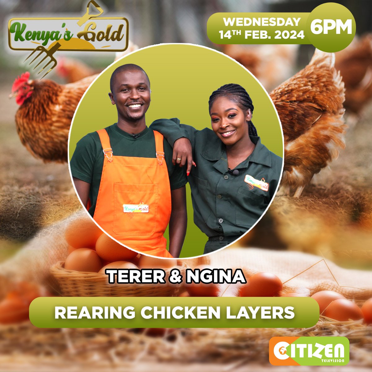 Join us as we discuss chicken layers rearing!