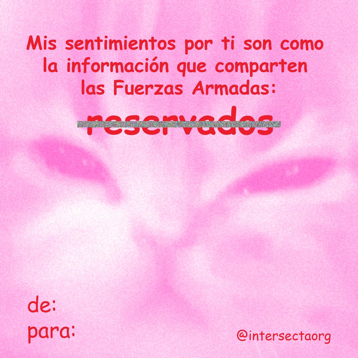 intersectaorg's tweet photo. https://t.co/xxTIcsQKHr