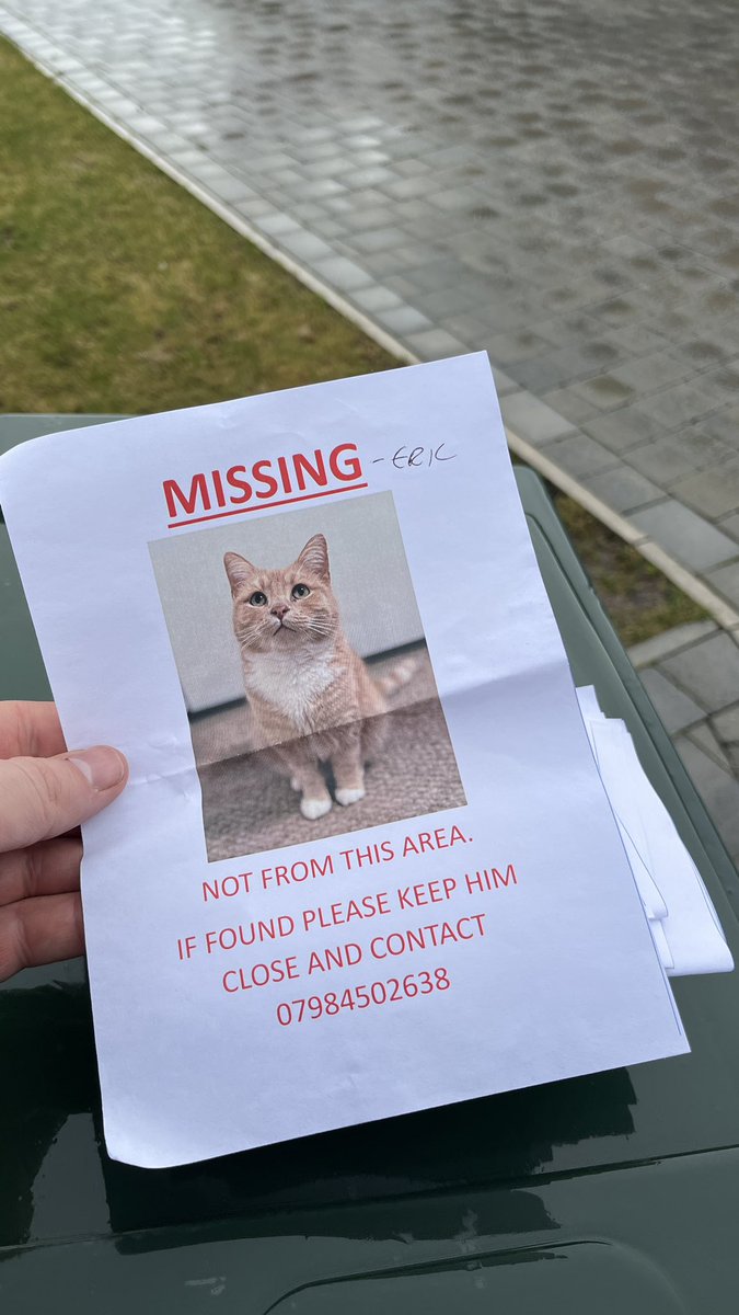 UPDATE : Still looking for Eric ! He jumped in someone’s van and travelled 4 miles . He has been spotted on CCTV at location . We hope he is hiding in garden and safe . We have handed out these flyers to every house on estate . Please keep your paws crossed for good news .Thanks