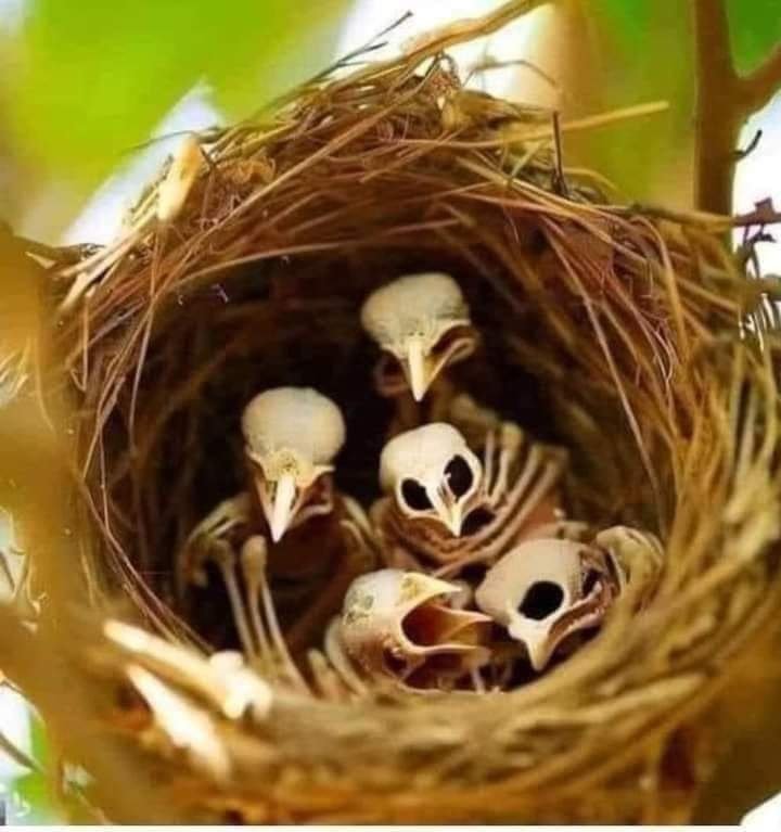 مجھے جواب اس وقت ملا جب سوال میں مزید دلچسپی نہیں رہی۔💔💔