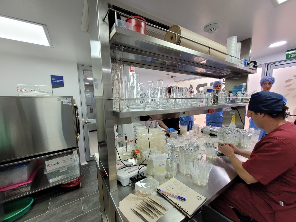 Sherly Montaguth (@cherrymontaguth) on Twitter photo Esta noticia me pone feliz.😍 Justamente hace un año estaba en los laboratorios de molecular de la <a href="/UniversidadCES/">Universidad CES</a>, conociendo su trabajo como banco y propagación de crisantemos para la industria floricultora nacional, siendo #Antioquia el principal productor. Sigo👇 Esta noticia me pone feliz.😍 Justamente hace un año estaba en los laboratorios de molecular de la <a href="/UniversidadCES/">Universidad CES</a>, conociendo su trabajo como banco y propagación de crisantemos para la industria floricultora nacional, siendo #Antioquia el principal productor. Sigo👇