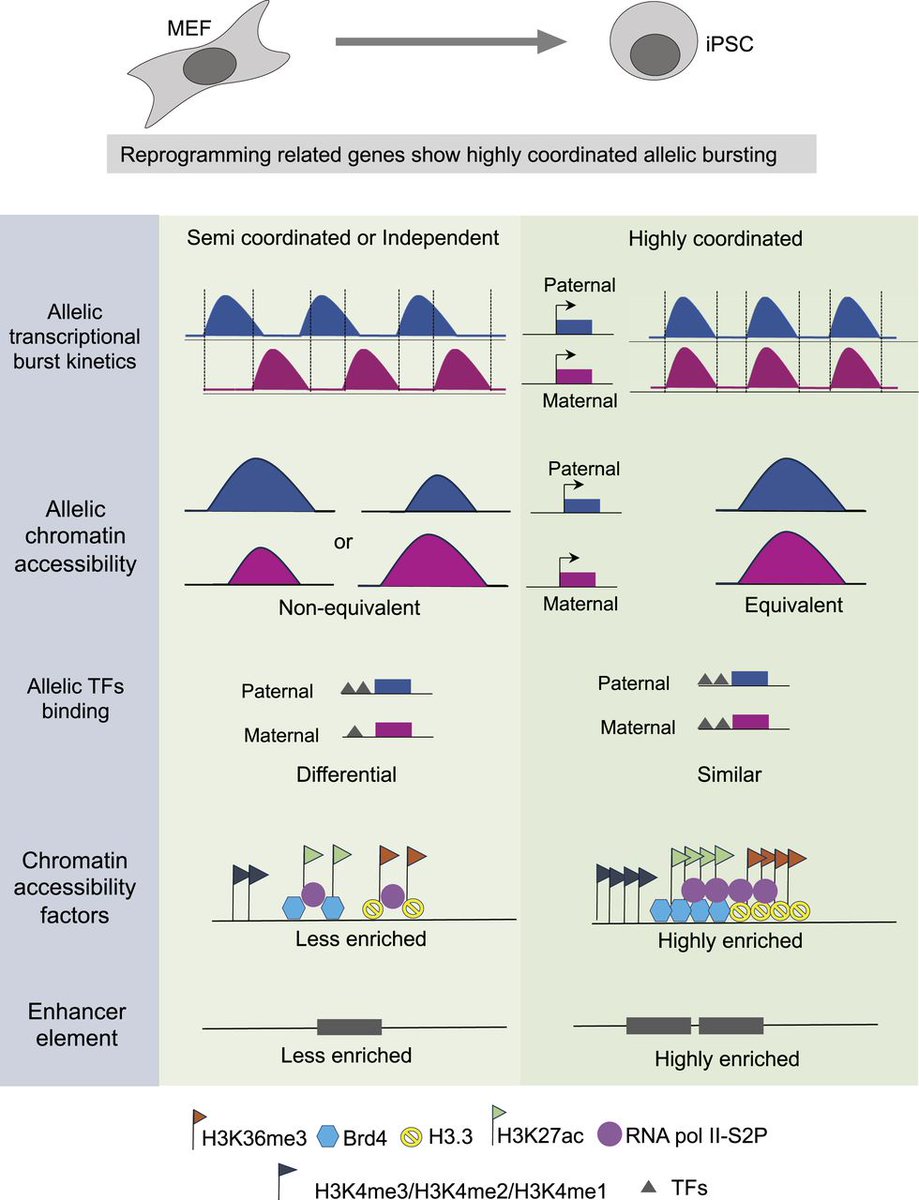LifeScienceAlliance tweet media
