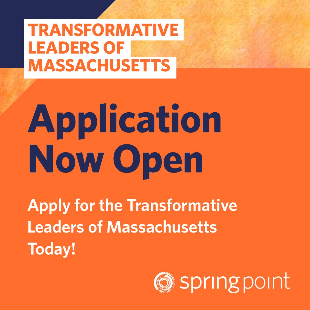 Springpoint tweet media