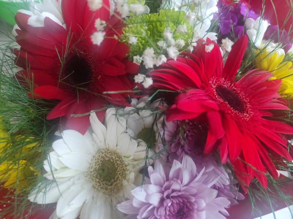 UcakGulen's tweet photo. Teşekkürler 💐 https://t.co/QsQWsEZYQT