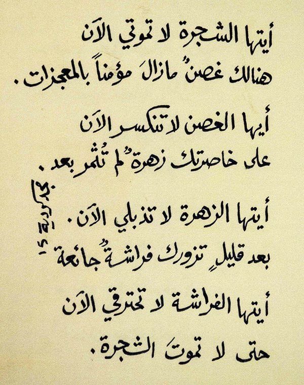 في July tweet media