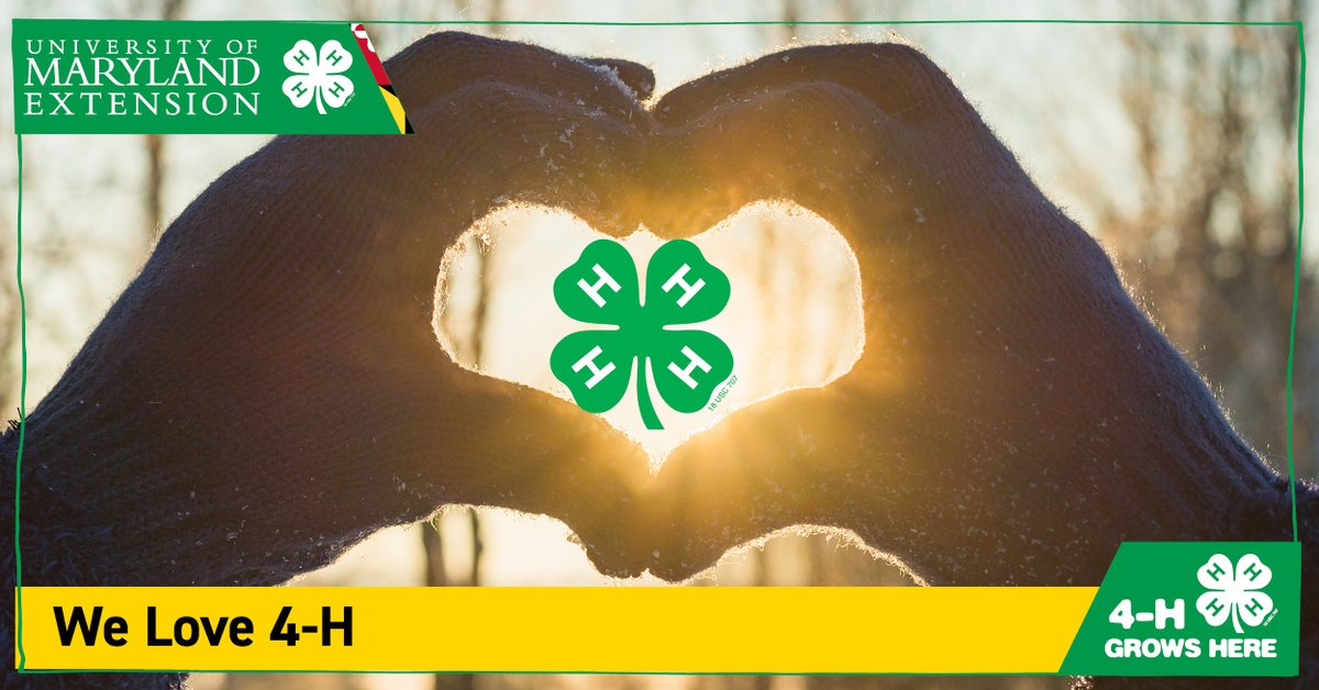 Maryland4H's tweet photo. Together, the hands and heart form a perfect pair in 4-H, offering greater loyalty and larger service.
#4h #WeLove4H #GreaterLoyalty #LargerService #HappyValentinesDay https://t.co/IKfkLFYXHo
