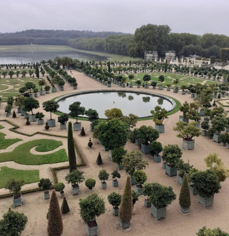 Edinburgh Adult Education Programme tweet media