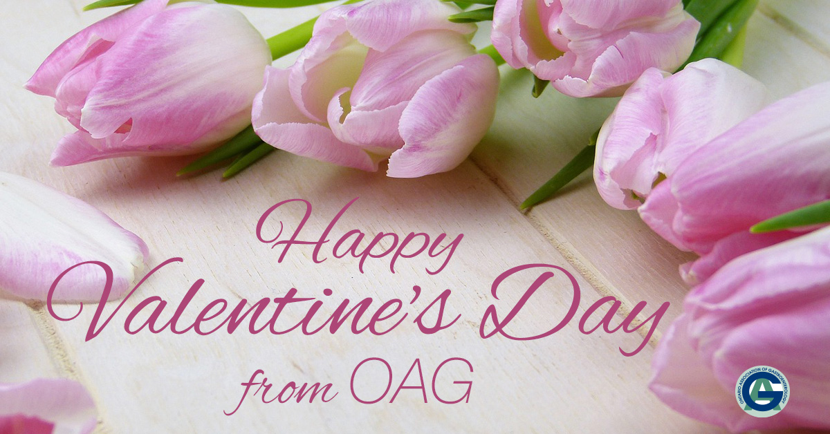 Sending love and warmth your way this Valentine's Day from OAG! Wishing you all a day filled with joy, laughter, and cherished moments with your loved ones.  #valentinesday