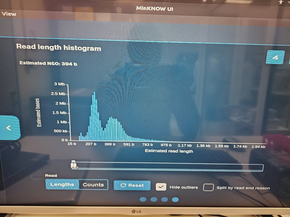 Karamoko tweet media