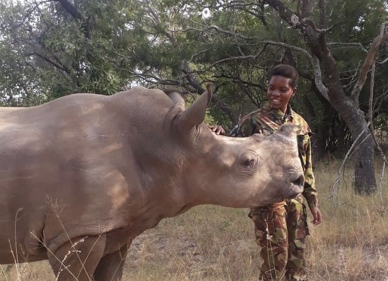 AyshahAwan's tweet photo. They need financial support and encourage women to join them."
Cyril Christo
6/6
#endpoaching
#BekindToAnimals #AnimalLivesMatter
#BanTrophyHunting
#TrophyHuntingMustEnd
#HuntingIsNotConservation
#SaveWildlife #SaveRhino 🦏
#Beavoiceforvoiceless https://t.co/dMbkPd8i10