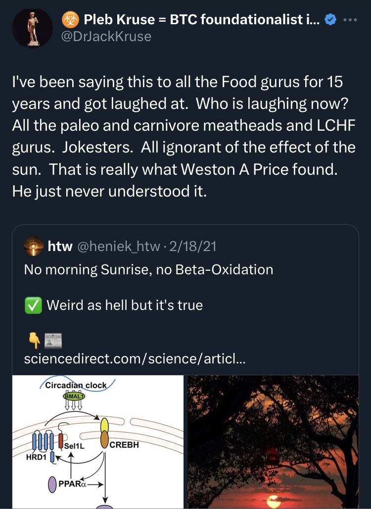 DrJackKruse's tweet image. If you miss sunrise you cannot metabolize fat via the TCA cycle in your matrix.  It becomes IMPOSSIBLE.  This is the wisdom in built into the leptin melanocortin pathways of mammals.  Humans are the mammal who break this RULE 100% of the time because they invented the light that…