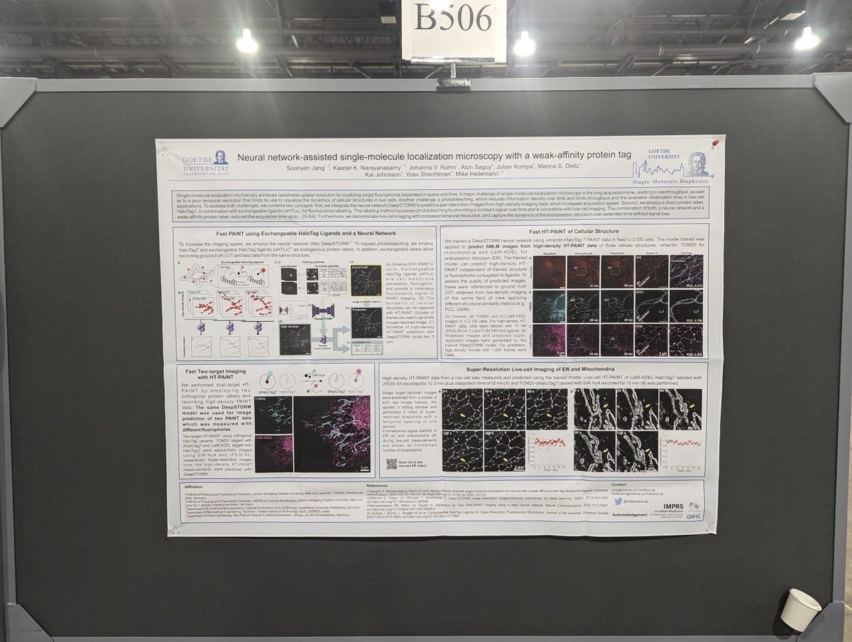 Ashwin Balakrishnan (@ashwin0512) on Twitter photo Checkout <a href="/Soohyen_J/">Soohyen Jang</a> 's work on neural netowork assisted SMLM in today's poster session now #BPS2024 Checkout <a href="/Soohyen_J/">Soohyen Jang</a> 's work on neural netowork assisted SMLM in today's poster session now #BPS2024