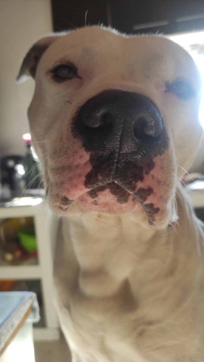 Flex sigue sin aparecer!!. Por favor si saben de algo, cualquier información se agradece 🙏🏼🙏🏼🙏🏼
Por favor me ayudan mucho compartiendo.