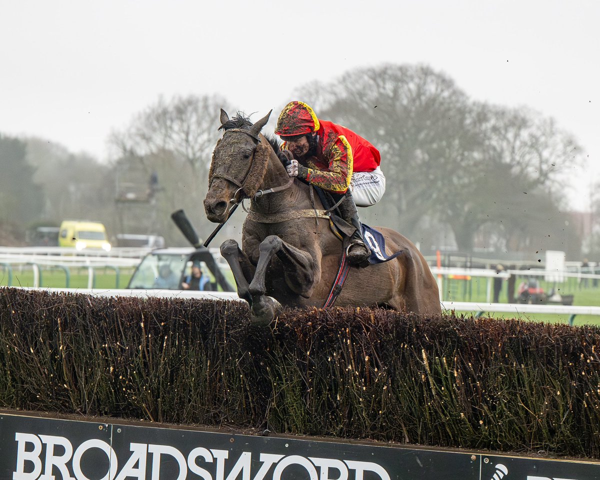 RACE 2 RESULT - The RJS Waste Management Handicap Steeple Chase 🥇 Art Decco 🥈 Dr Kananga 🥉 Haut Folin Jockey: Harry Kimber Trainer: Robert Walford Owner: Buckingham, Chapman, Langford & Ritzema 📸 @dcoolimages