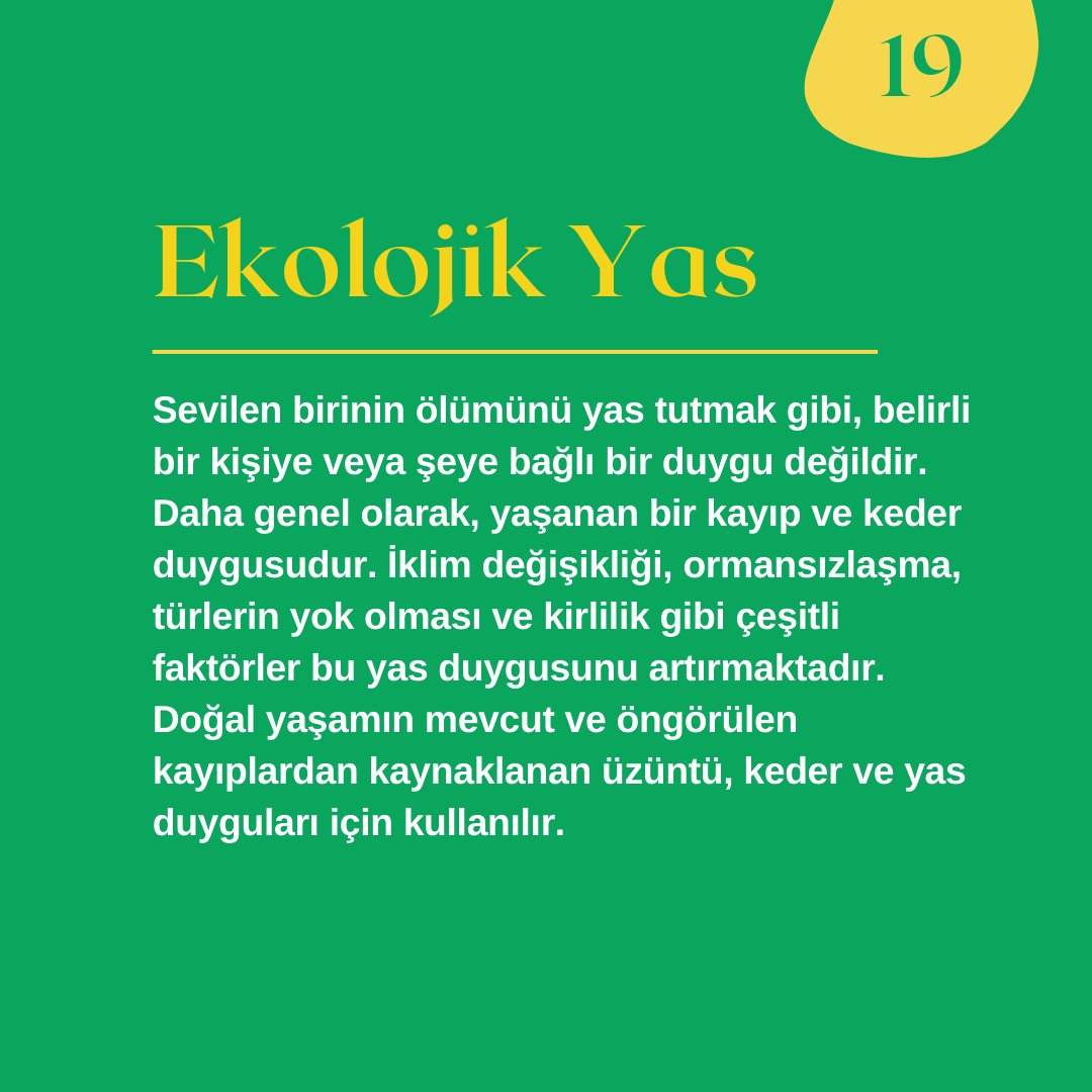 🌏 Ekolojik Yas

#coBirebir #ekolojikyas #sukirliliği #ÇevreKirliliği #Sürdürülebilirlik #SuKalitesi #ÇevreKoruma #ÇevreBilinci #SuKaynakları #ÇevreSağlığı #DoğaKoruma