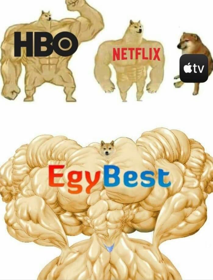EGY BEST ايجي بيست (@egybest_1) on Twitter photo 