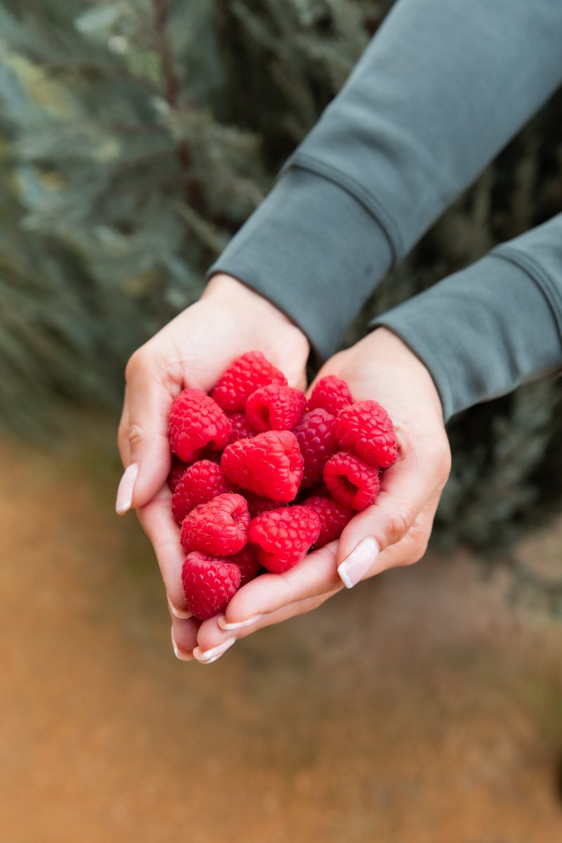 Happy Valentines Day! #FamilyTreeFarms #Family #Fruit #FreshProduce #Berries #Raspberries #FarmFresh #HealthyEats #Antioxidants #SuperFood #FarmToFork #SupportFarmers #BerryGood #Flavor #BerryBliss #Grower #Packer