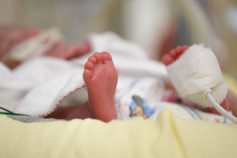 El 95% de los bebés con cardiopatías congénitas pueden mejorar su calidad de vida con un pronóstico temprano y un tratamiento oportuno.

➡️ Los controles durante el embarazo son fundamentales para abordarlas a tiempo. 
 
🔗 garrahan.gov.ar/prensa/14-02-2…