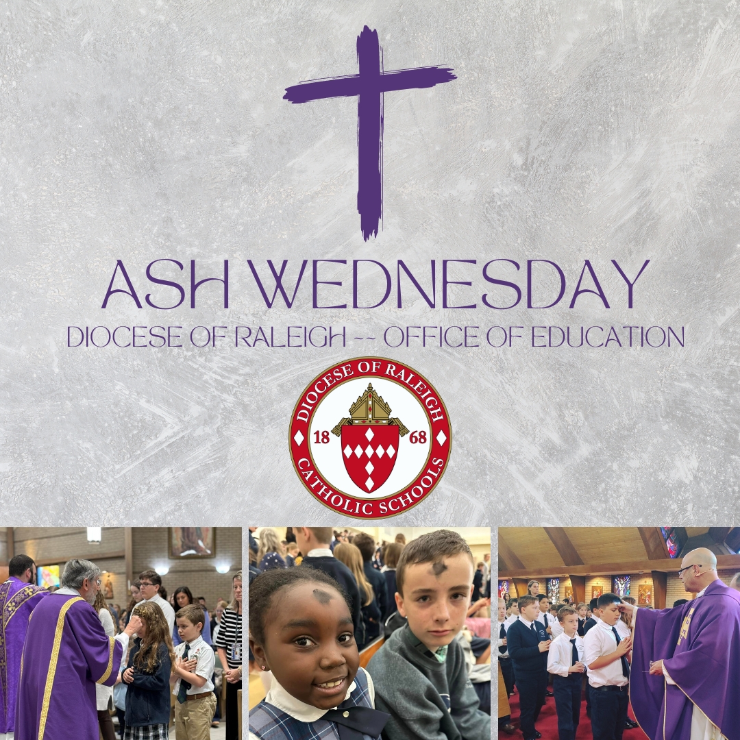 Diocese of Raleigh Office of Education tweet media