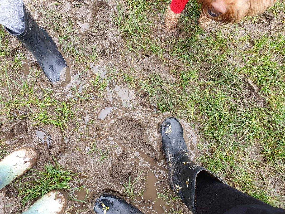 A wet and muddy adventure today. The pops enjoyed every minute and Reddington fell in a stream 🐕🤦‍♀️ #alwayslearning #countrypark #outdoorplayground @Cath_Perry_  @VictoriaExtence @mmewcav