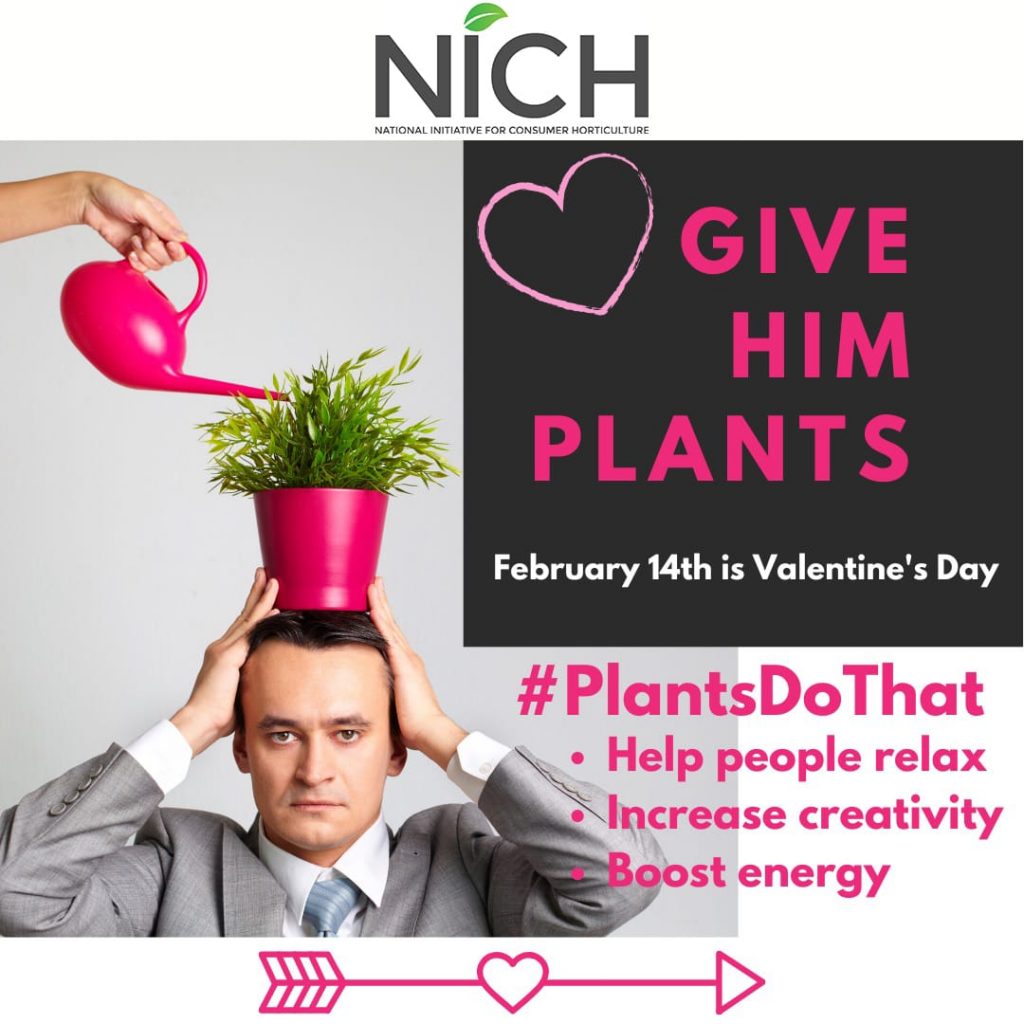 consumerhort's tweet photo. Happy Valentine's!
#valentines
#valentinesgift
#plantsdothat
#plantsmakepeoplehappy https://t.co/uP9Xld928S