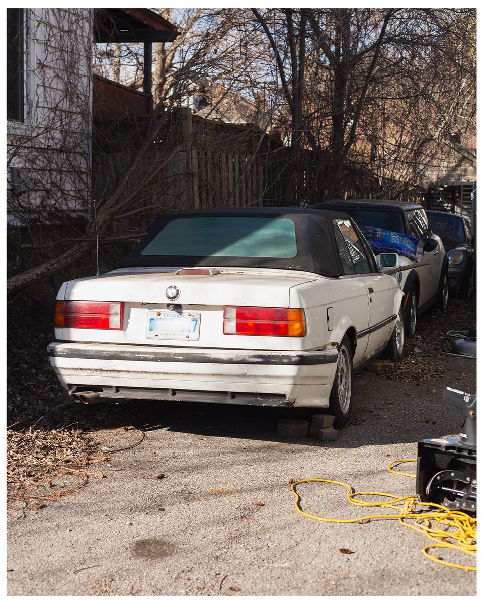 Bathed in Sunlight Pt 3.

#photography #naturalight