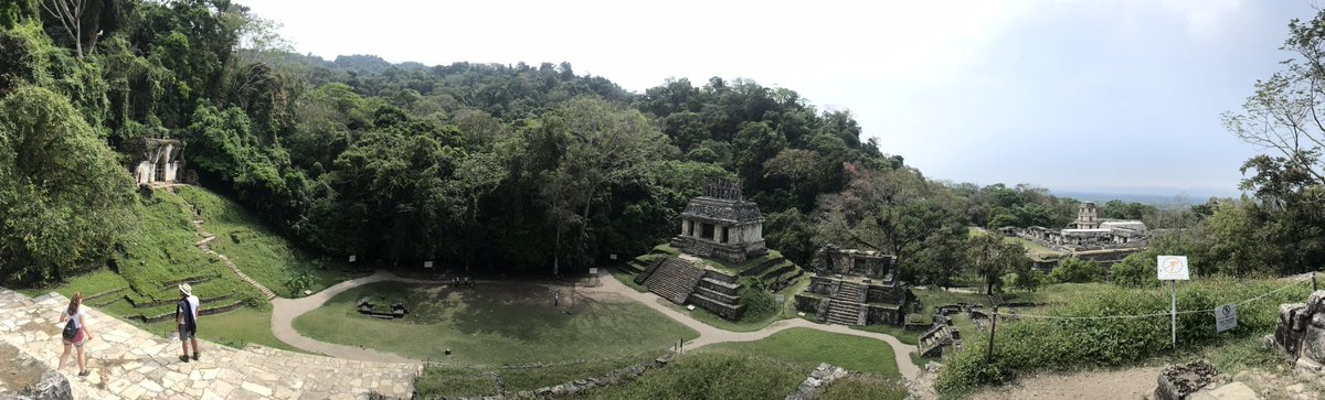 ursucarreno's tweet photo. @Cuauhtemoc_1521 Palenque. Majestuosa ciudad que todavía tiene vestigios cubiertos por selva: https://t.co/XwHIewNVl7