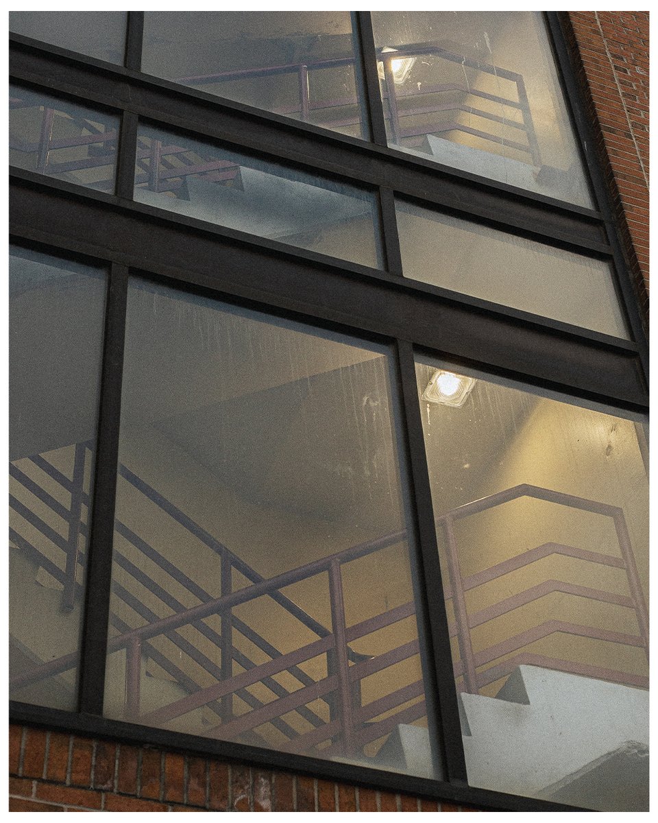 Bathed in Sunlight Pt 4.

#photography #naturallight