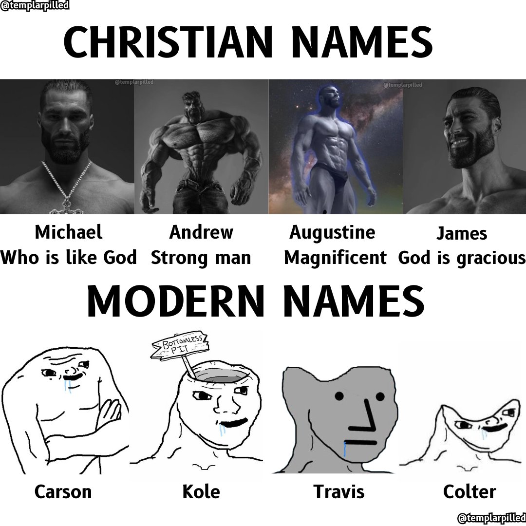 Templarpilled's tweet image. 