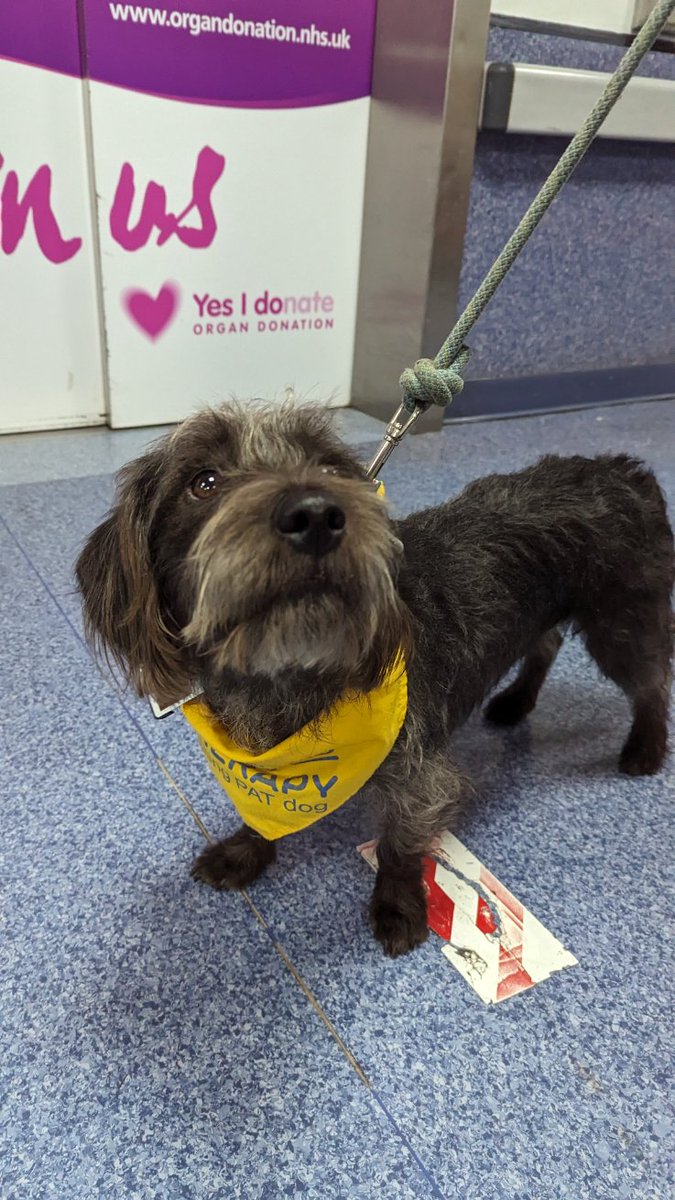 Jamie Murphy tweet media