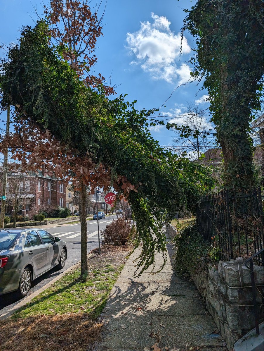 randy zmuda (ANC 4E04) tweet media