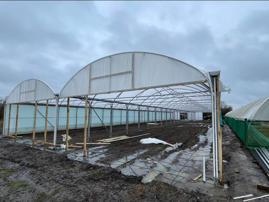 New multispan polytunnel almost finished. Just paths and matting to go in and then we can start filling it with lovely young plants. #horticulture #britishgrown #nurserystock #perennials #shrubs